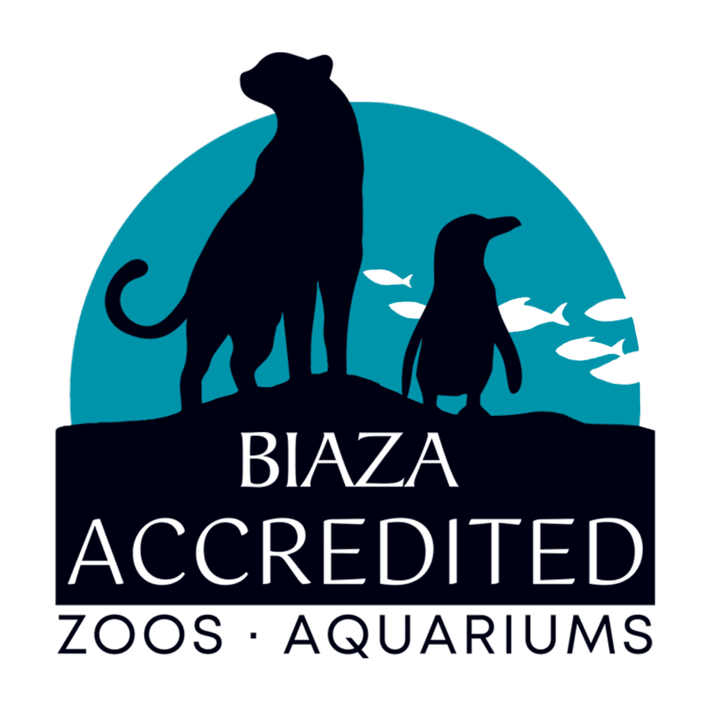 BIAZA Accredited Zoo